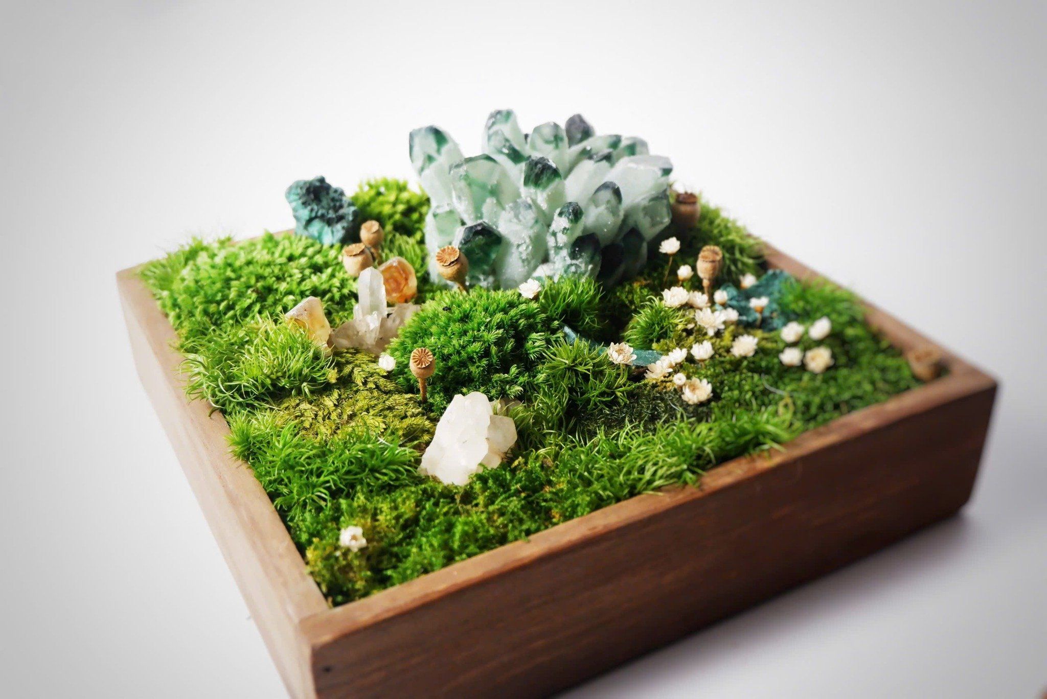  Hộp rêu đá phong thủy 