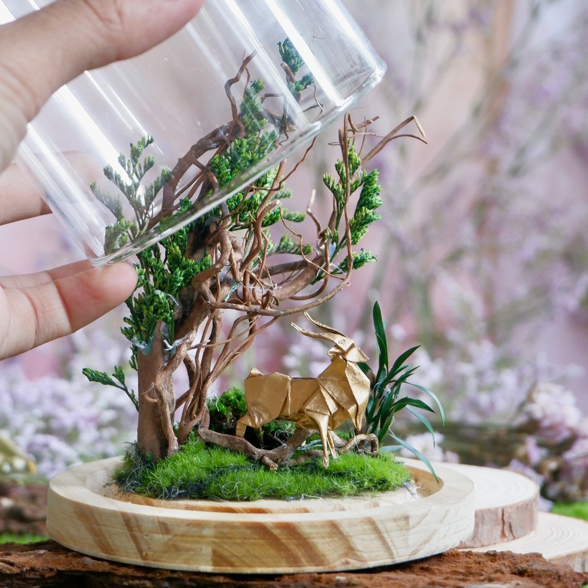  Chụp Thủy Tinh Rêu D11-H12 002 