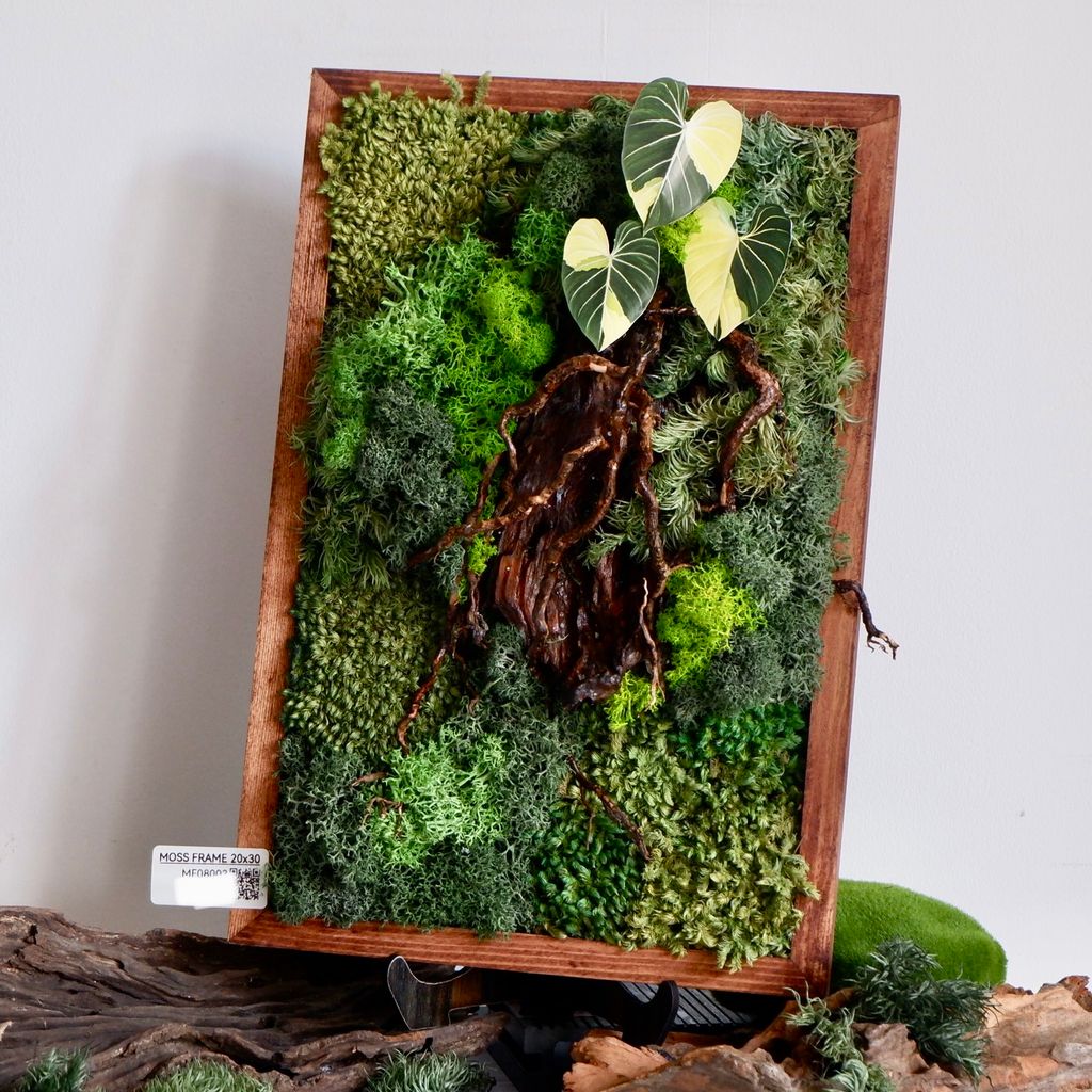  Tranh Rêu 20x30 007 trang trí nội thất 