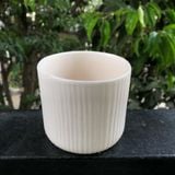  Chậu cây BT D10 men trắng 