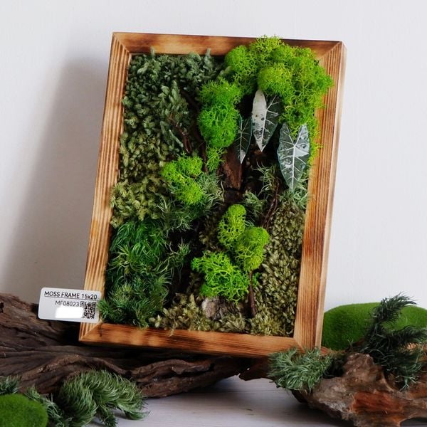  Tranh Rêu 15x20 003 trang trí nội thất 