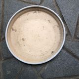  Đĩa men tròn màu hồng nhạt 