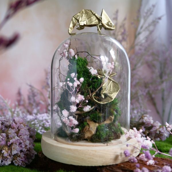  Chụp Thủy Tinh Rêu D11-H12 006 