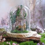  Chụp Thủy Tinh Rêu D11-H12 002 