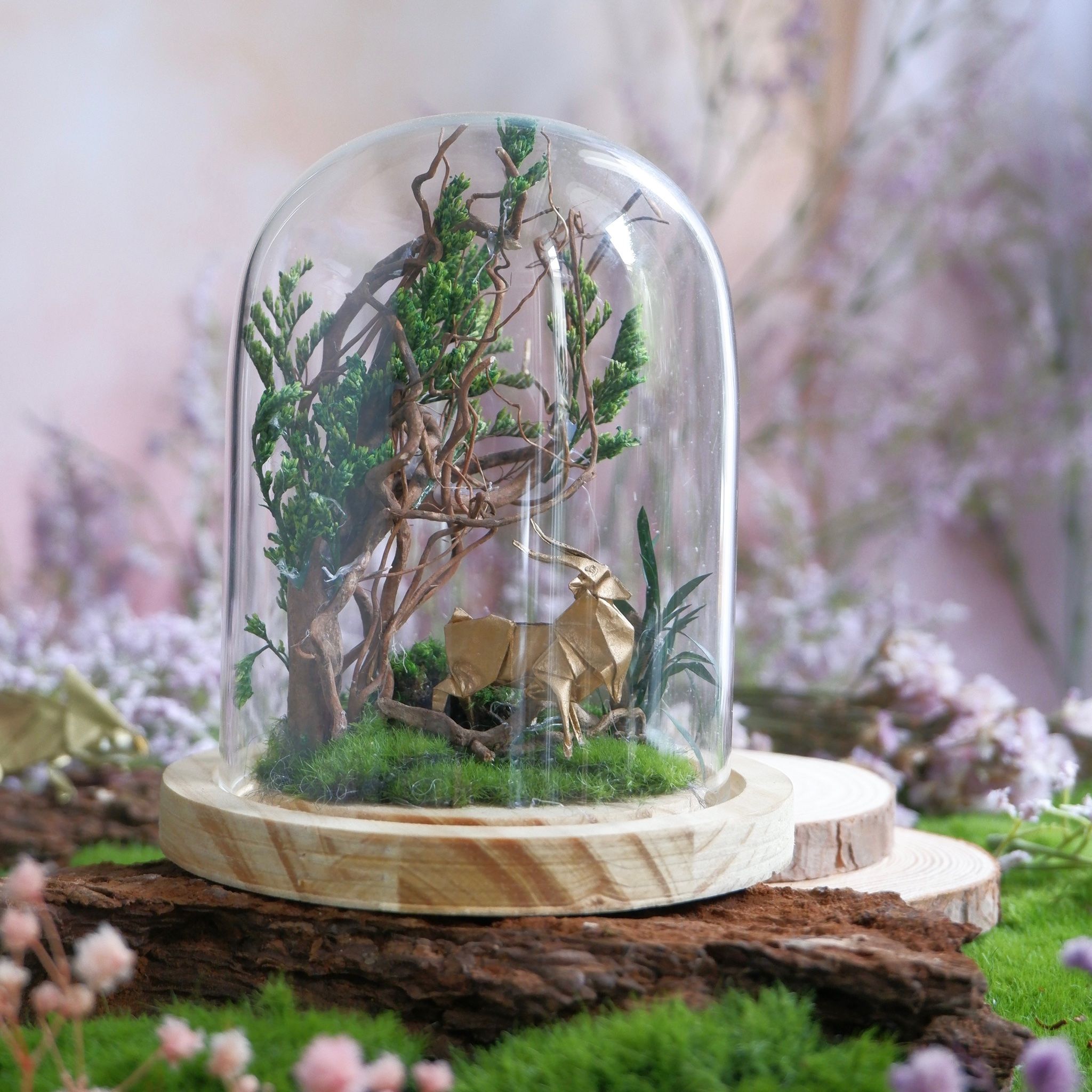  Chụp Thủy Tinh Rêu D11-H12 002 