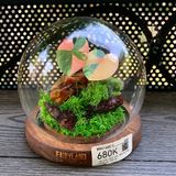  Chụp Thủy Tinh Rêu D12-H12 001 