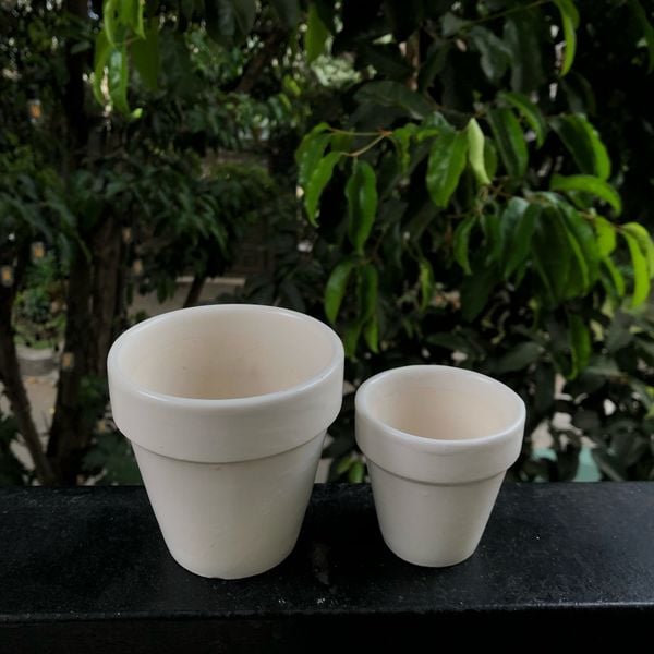  Chậu trồng cây BT men trắng 