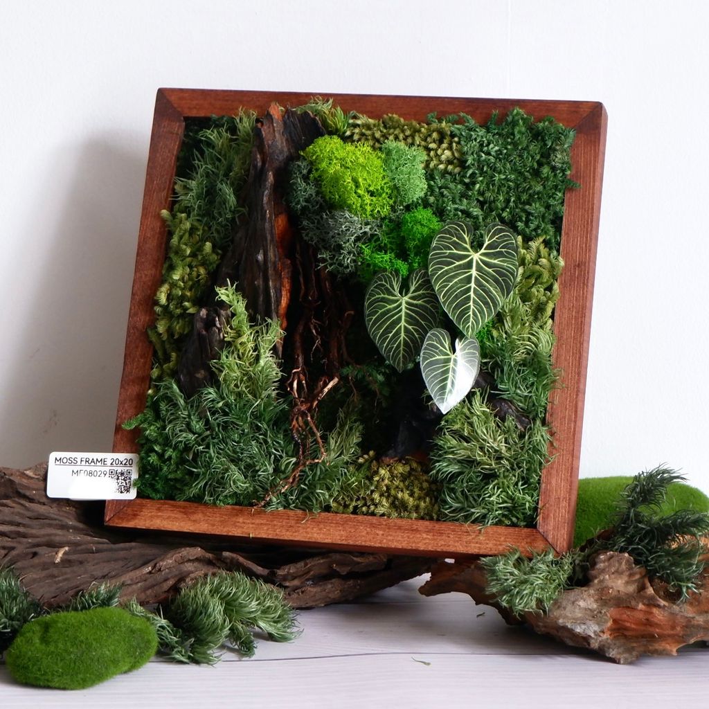  Tranh Rêu 20x20 003 trang trí nội thất 