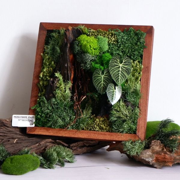  Tranh Rêu 20x20 003 trang trí nội thất 