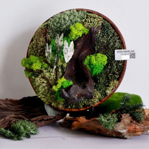  Tranh Rêu D20 002 trang trí nội thất 