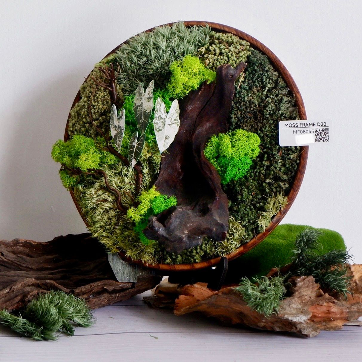  Tranh Rêu D20 002 trang trí nội thất 