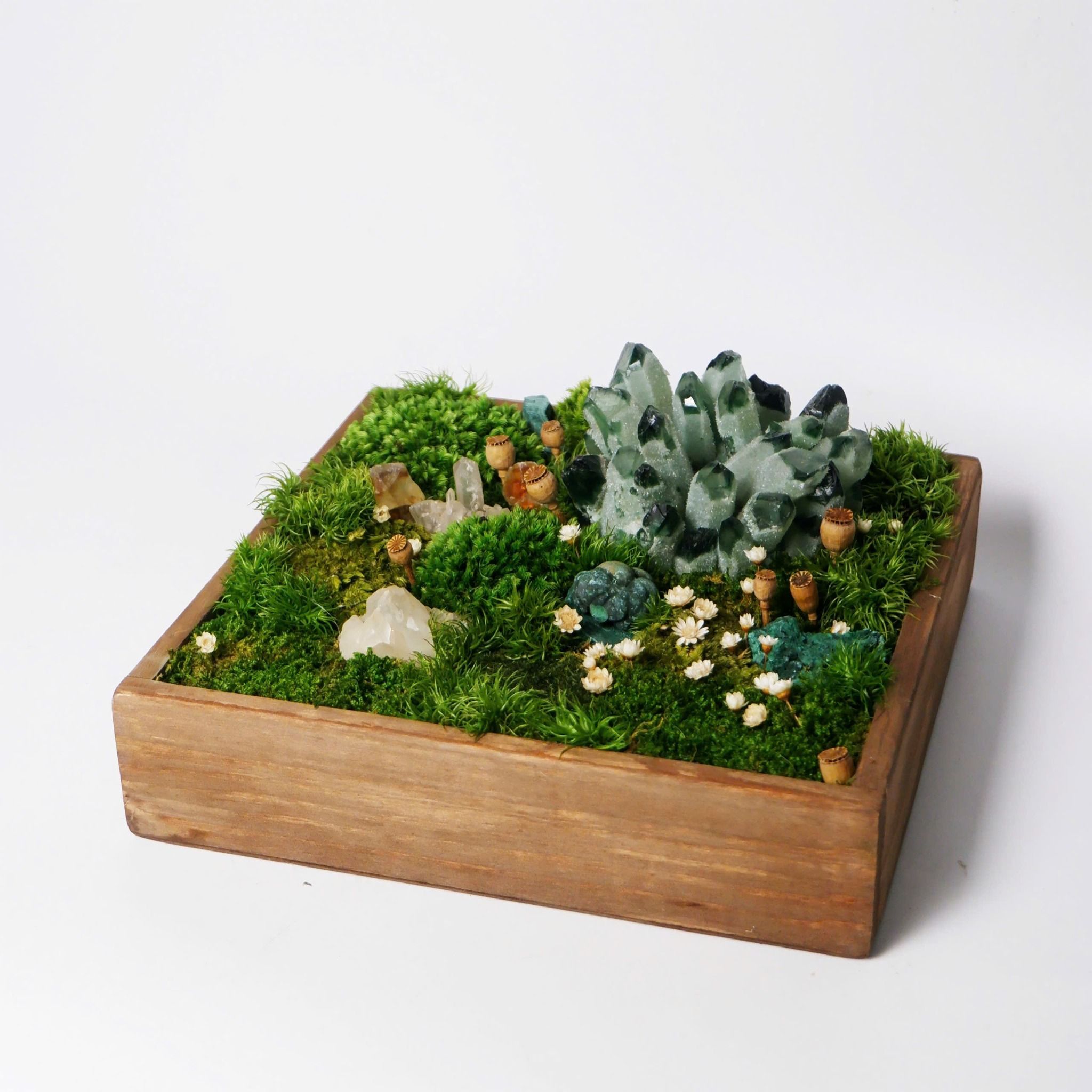  Hộp rêu đá phong thủy 