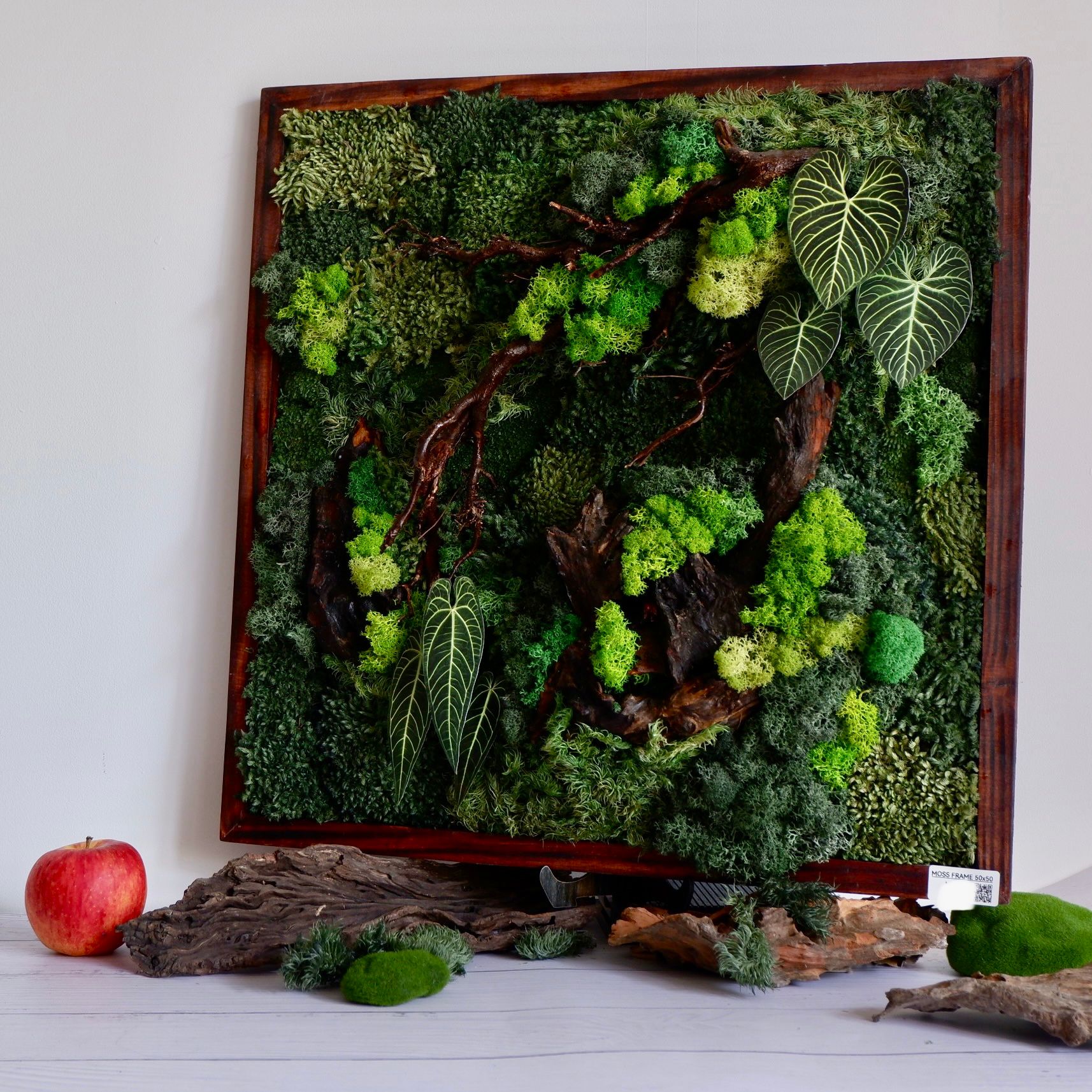  Tranh Rêu 50x50 002 trang trí nội thất 