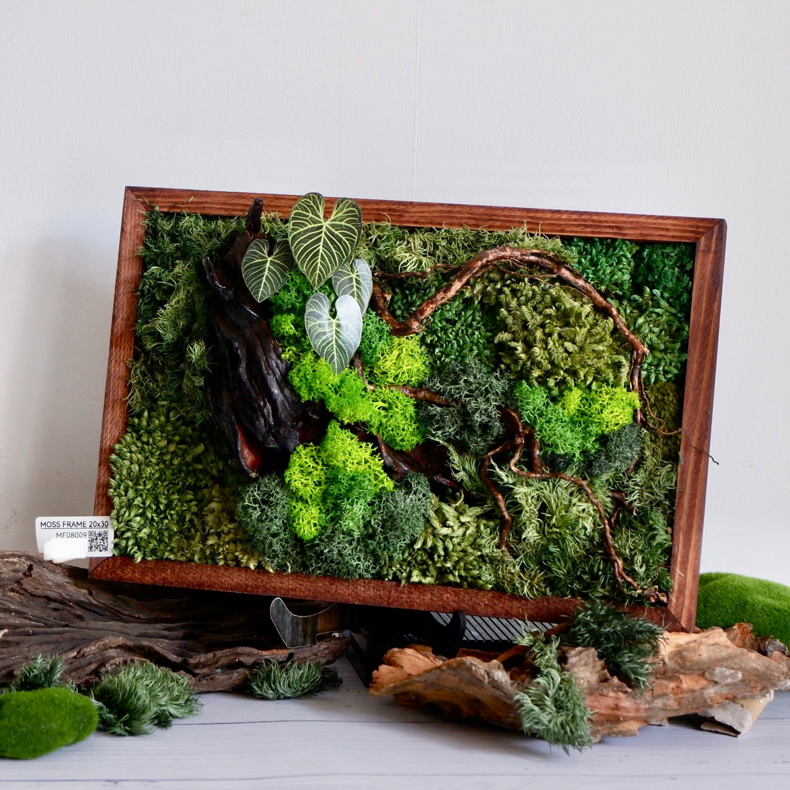  Tranh Rêu 20x30 004 trang trí nội thất 