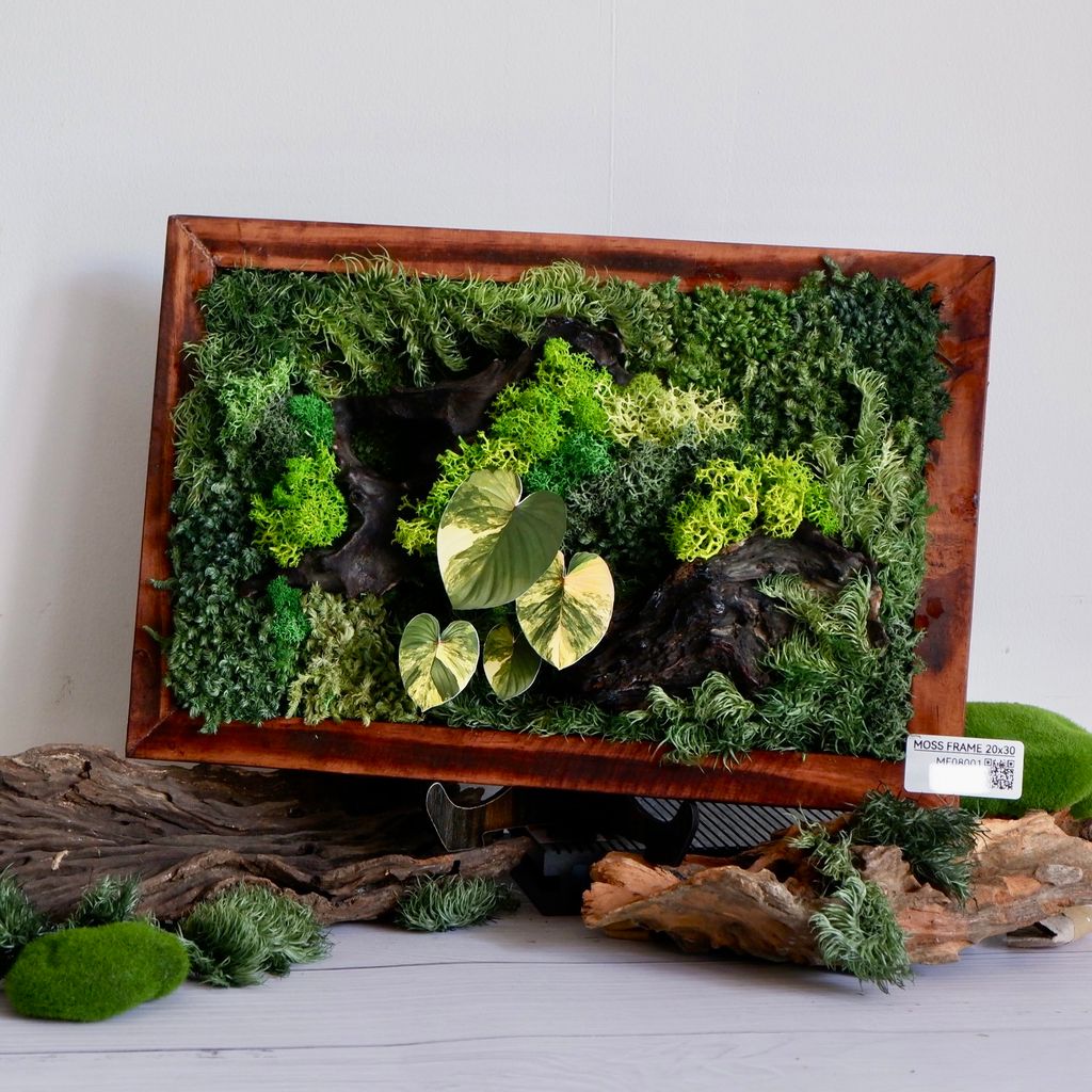  Tranh Rêu 20x30 009 trang trí nội thất 