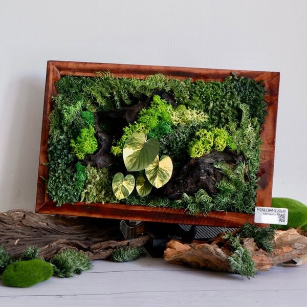  Tranh Rêu 20x30 009 trang trí nội thất 