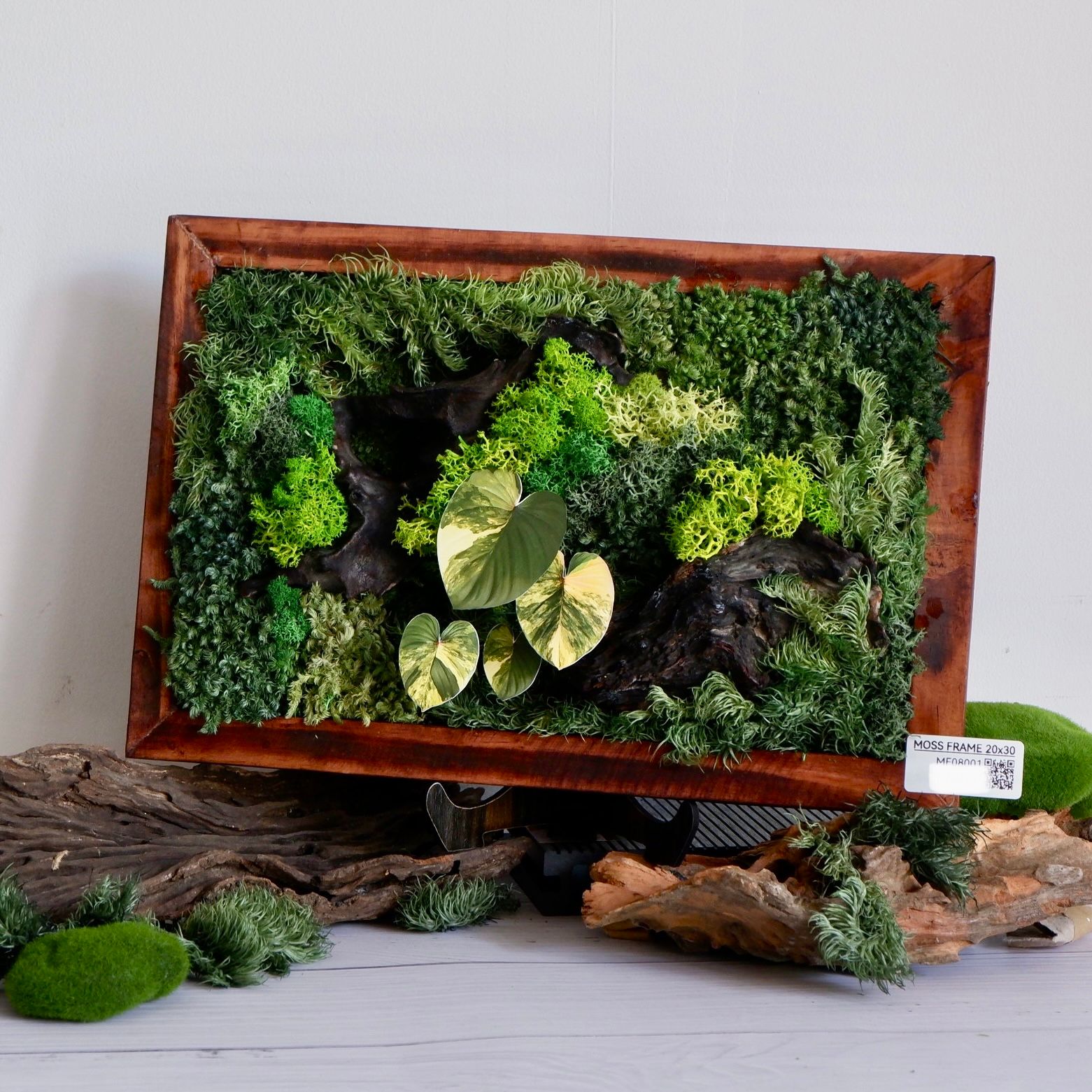  Tranh Rêu 20x30 009 trang trí nội thất 