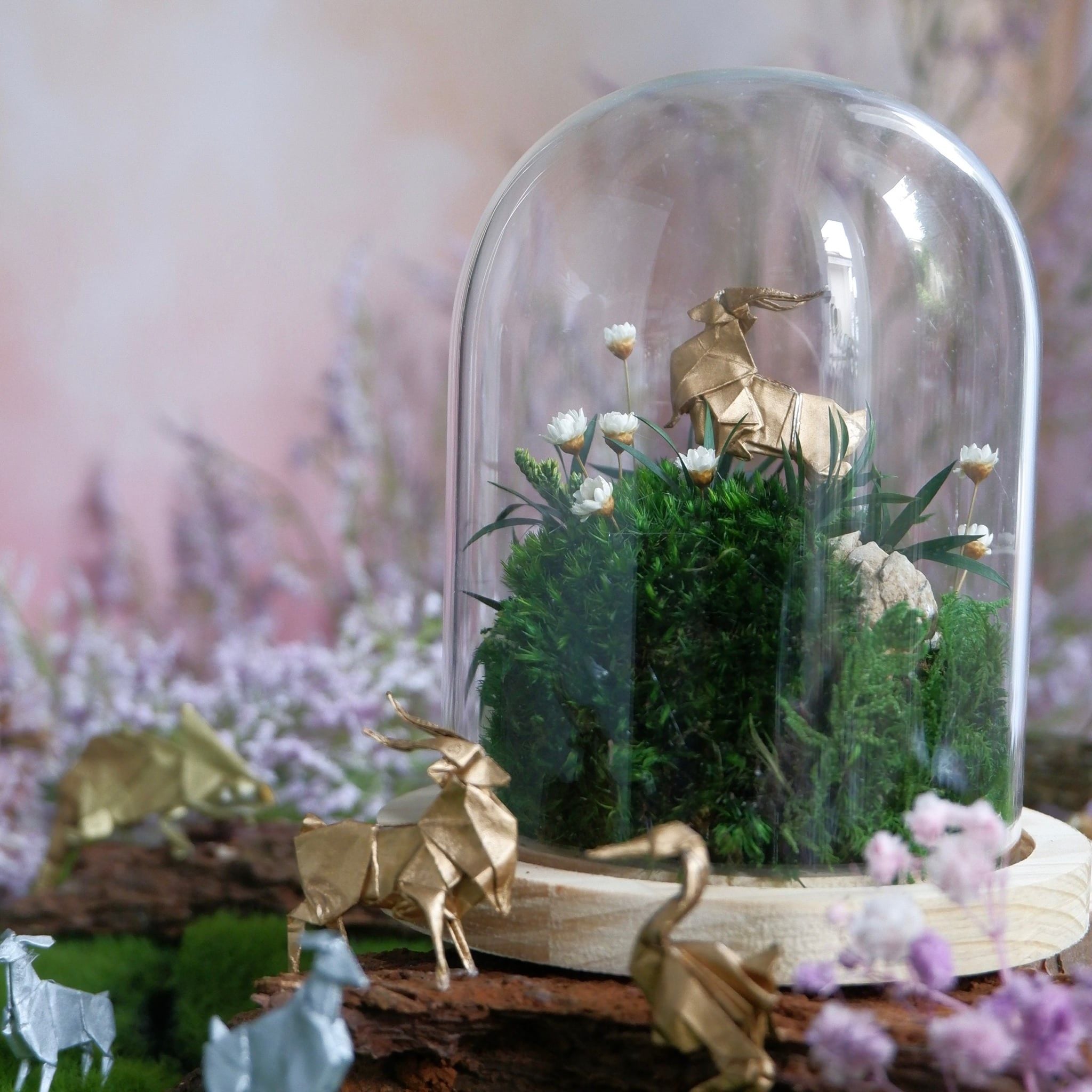  Chụp Thủy Tinh Rêu D11-H12 005 