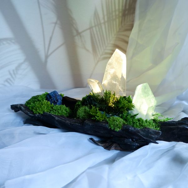  Rêu trang trí đá phong thủy Moss Gem 001 