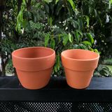  Chậu đất nung trồng cây size nhỏ 