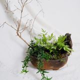  Gốm Chăm ghép Lan Lá 