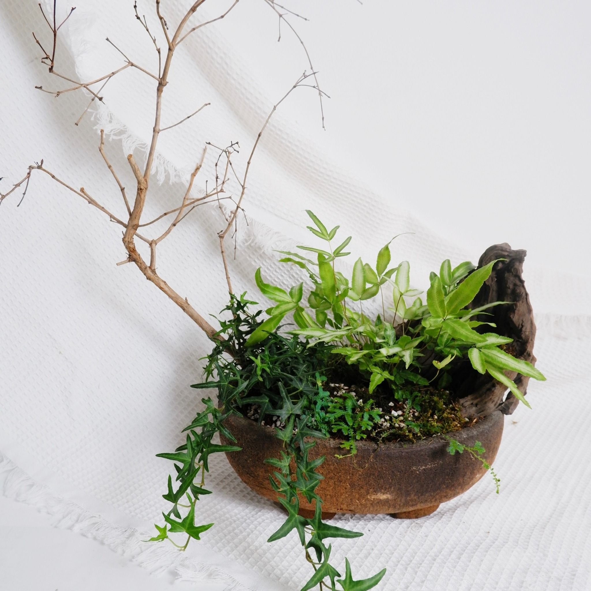  Gốm Chăm ghép Lan Lá 