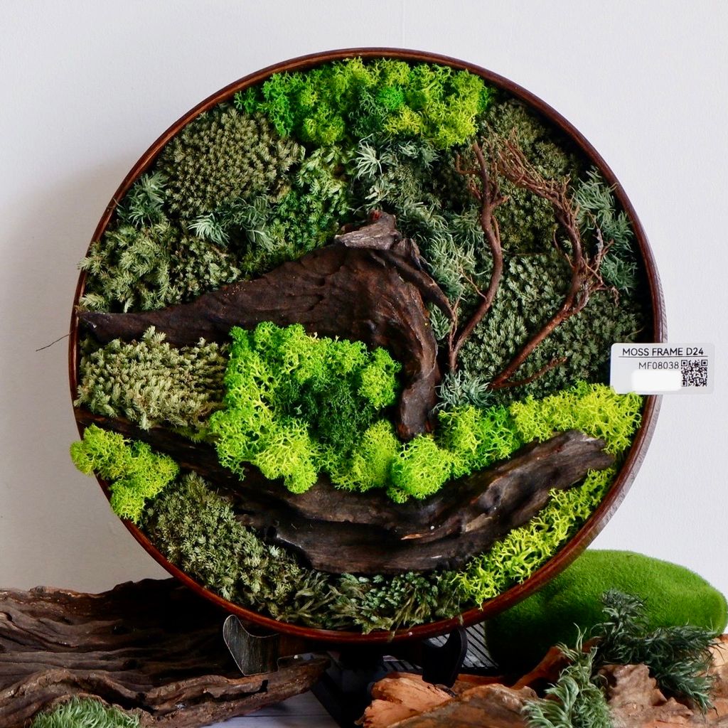  Tranh Rêu D24 003 trang trí nội thất 