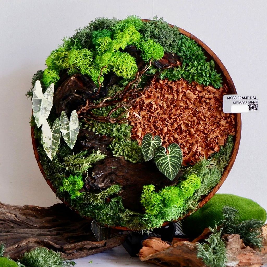  Tranh Rêu D24 004 trang trí nội thất 