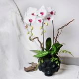  Gốm Chăm ghép Lan Lá 