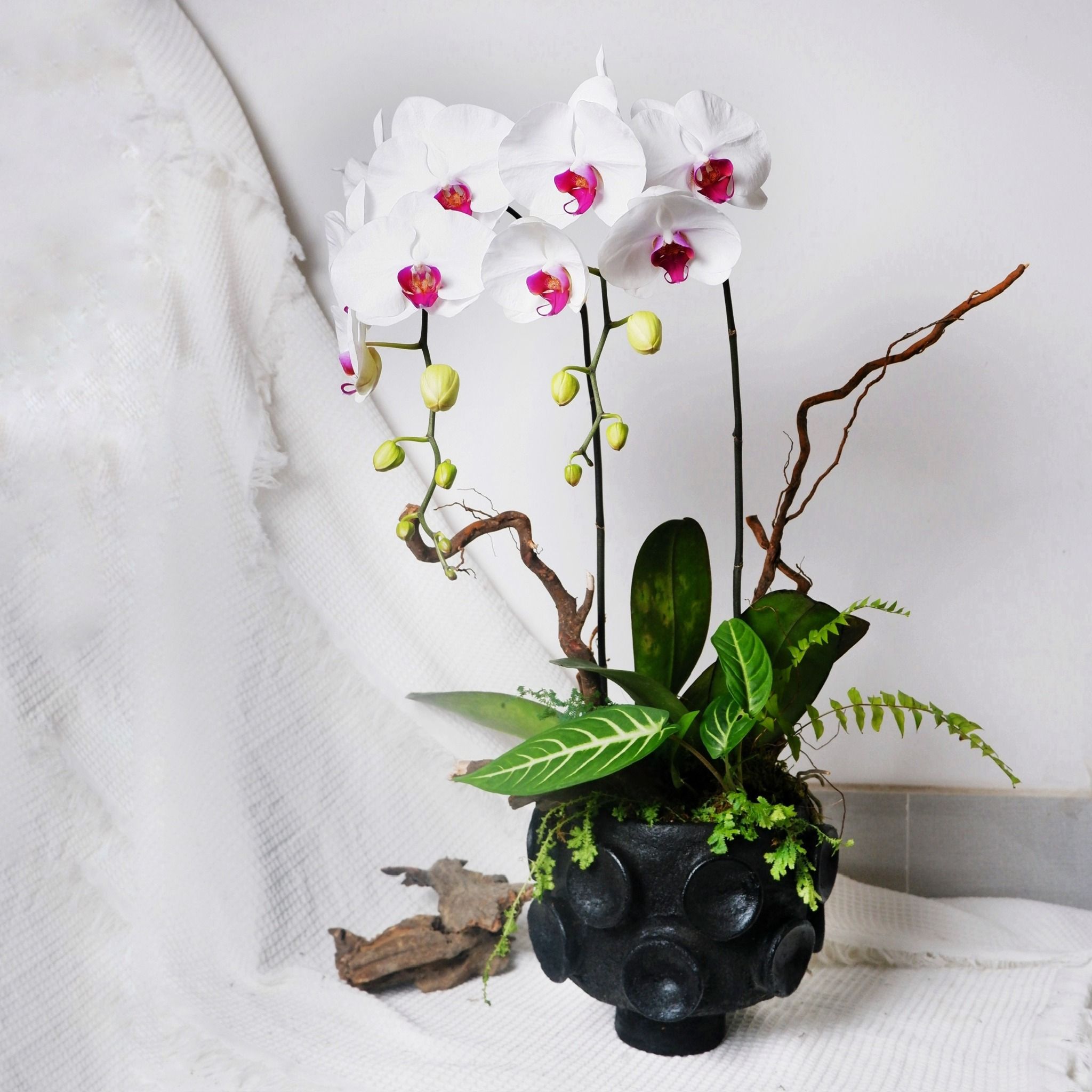  Gốm Chăm ghép Lan Lá 