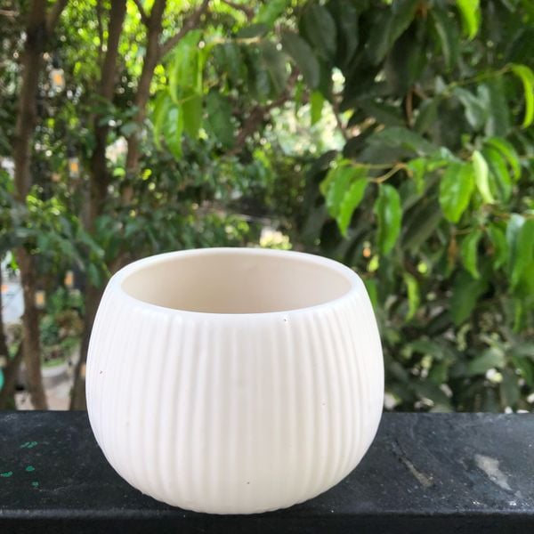  Chậu cây BT D10 men trắng sọc 