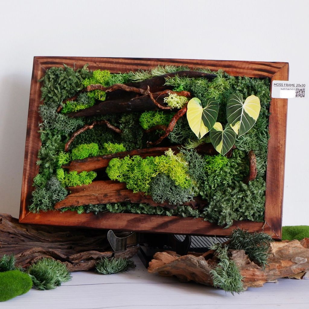  Tranh Rêu 20x30 001 trang trí nội thất 