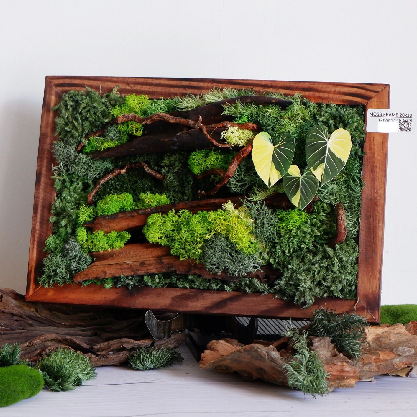  Tranh Rêu 20x30 001 trang trí nội thất 