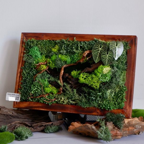  Tranh Rêu 20x30 008 trang trí nội thất 