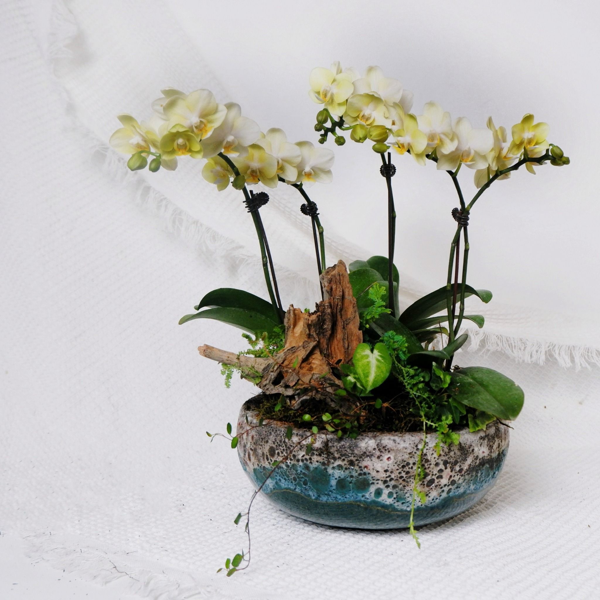  Gốm Chăm ghép Lan Lá 