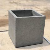  Chậu xi măng trồng cây vuông 