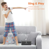  Loa Karaoke SOUNARC M1 (Tặng kèm 2 micro) 