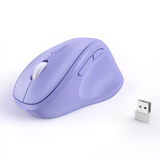  Chuột vi tính không dây MicroPack MP-V01W 