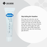  Kem Vaseline Pure OPC phòng nứt môi, khô môi 10g 