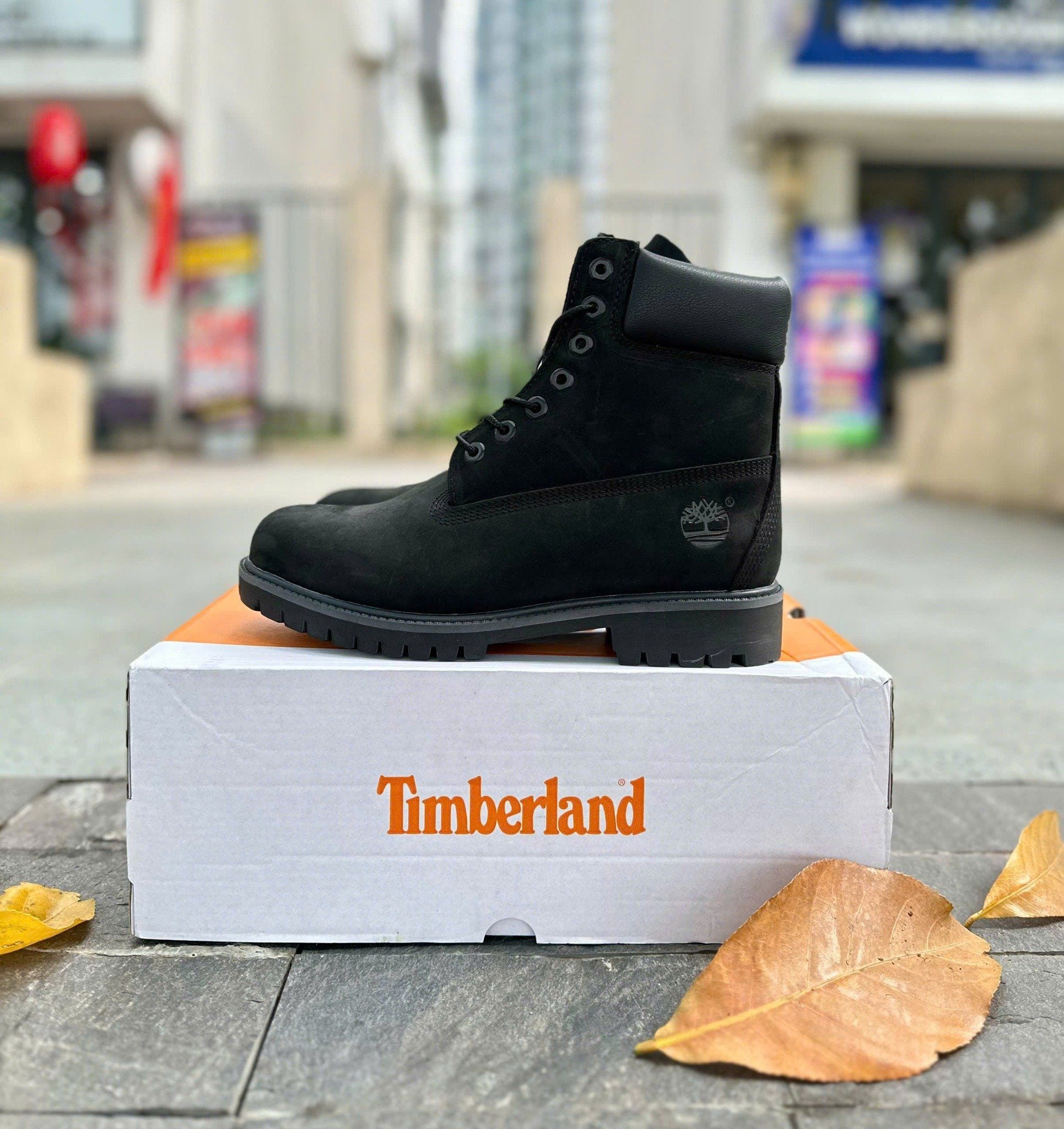 Giày Timberland Timberland Hommes Shoes GIÀY TIMBERLAND 6-INCH