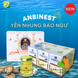  Tổ Yến Nhung Hươu Anbinest Queen (Lốc 6 Hũ) 