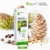 Serum kích thích mọc tóc Elfa Pharm 7in1 chiết xuất 7 loại tinh dầu thảo dược 100ml
