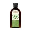 Dầu gội Green Pharmacy ngăn ngừa gàu chiết xuất nụ bạch dương 350ml
