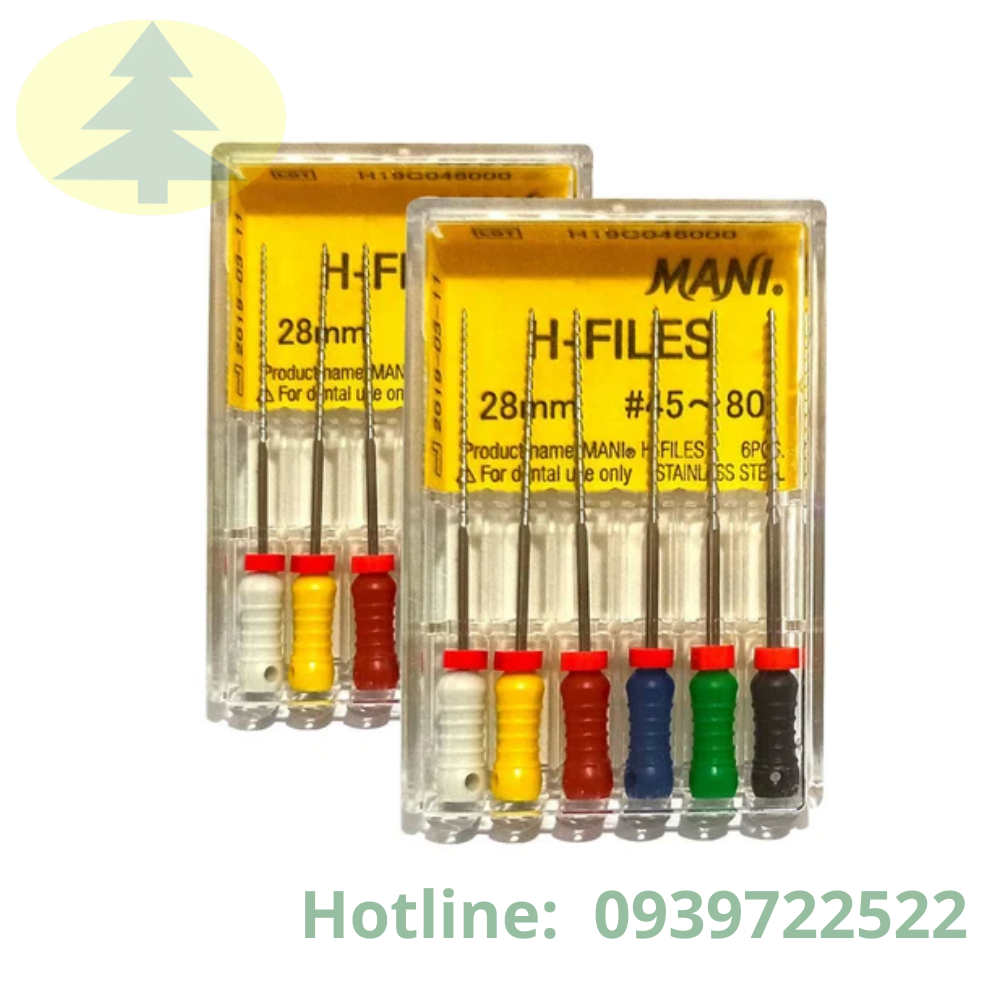 MŨI TRÂM H-FILES - Thiết kế chuyên nghiệp