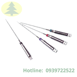 Lentulo Mani ( Các kích thước khác nhau ) 