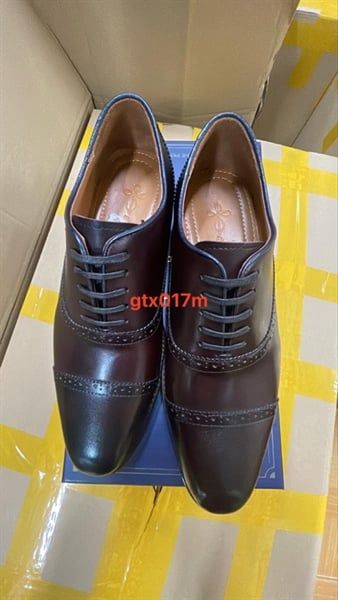 Giày mận buộc dây - GTX017M