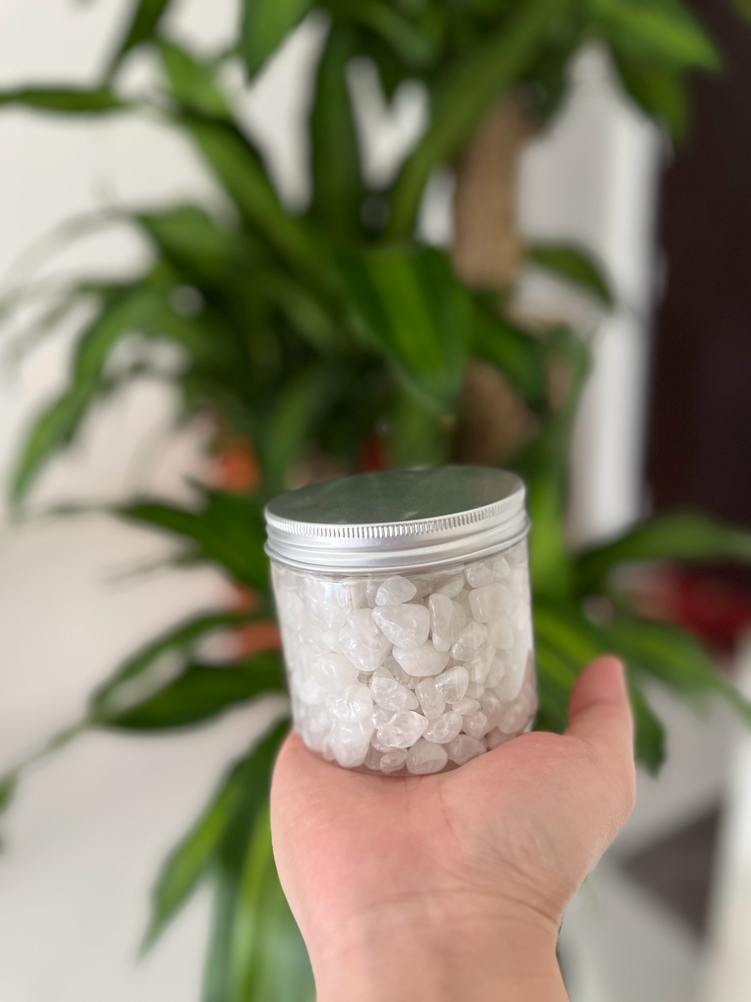  Lọ đá trang trí tẩy uế khí nhà bếp, vệ sinh, giếng ướt, nhà tắm 