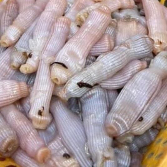 sa sung tuoi 1kg