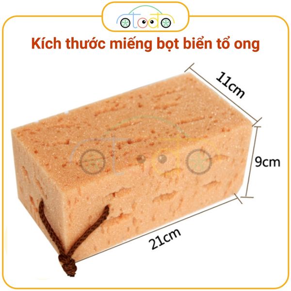 Miếng bọt biển rửa xe chuyên dụng cho xe ô tô, miếng xốp tổ ong dày dặn thấm hút đa năng khi rửa xe