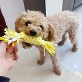  Giá Đỡ Điện Thoại Nhựa 
